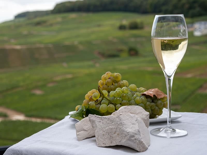 Pinot Blanc Wine