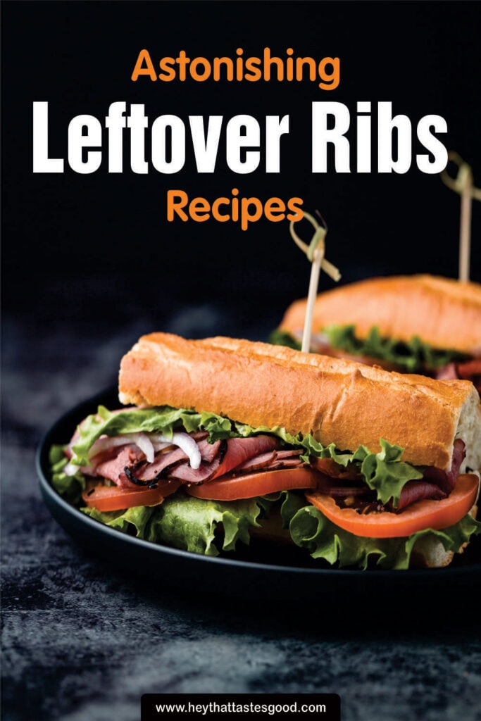 Leftover Ribs Recipes