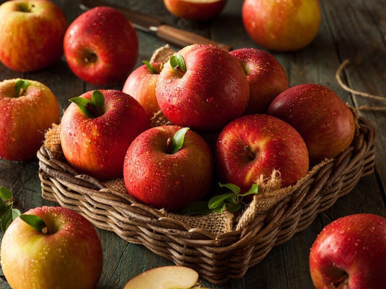 Apples Are The Sweetest