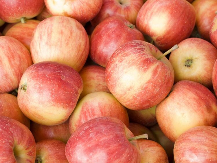 Which Apples Are The Sweetest?