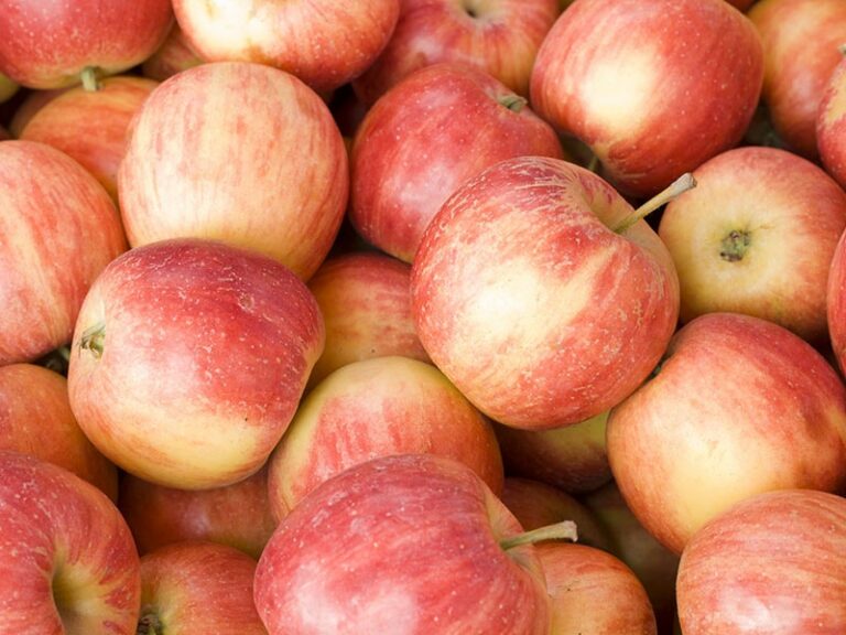 Which Apples Are The Sweetest?