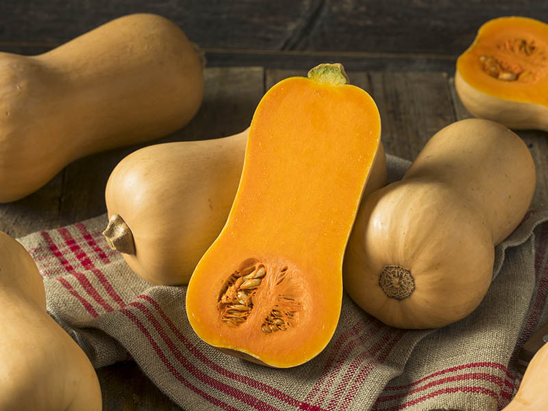 Butternut Squash