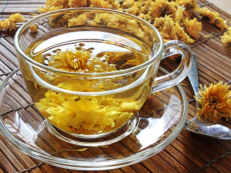 Chrysanthemum Tea China