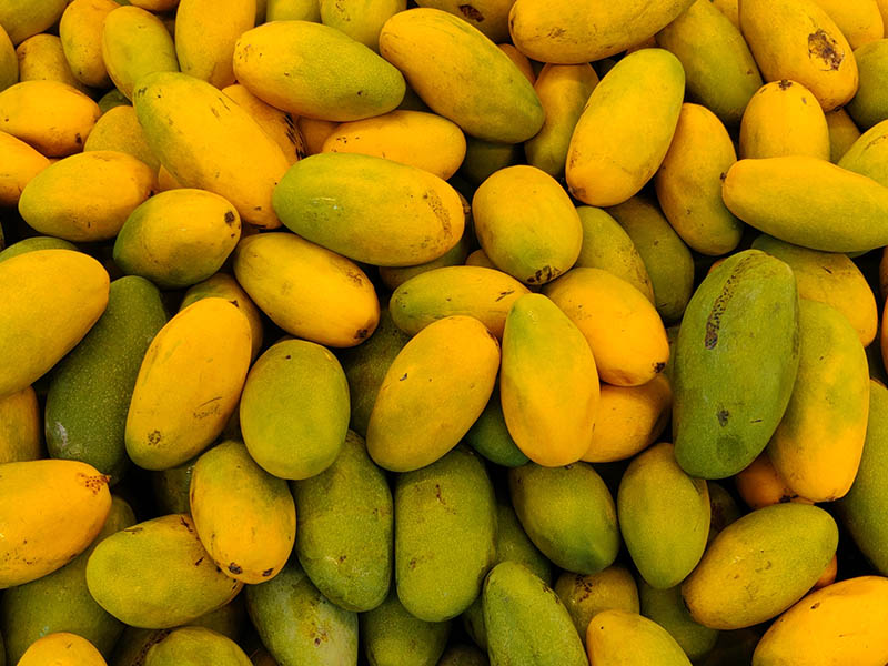 Dasheri Mango Indian