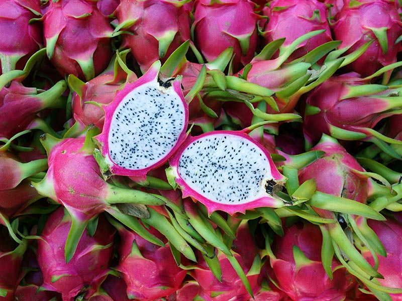 Dragon Fruit Thanh Long