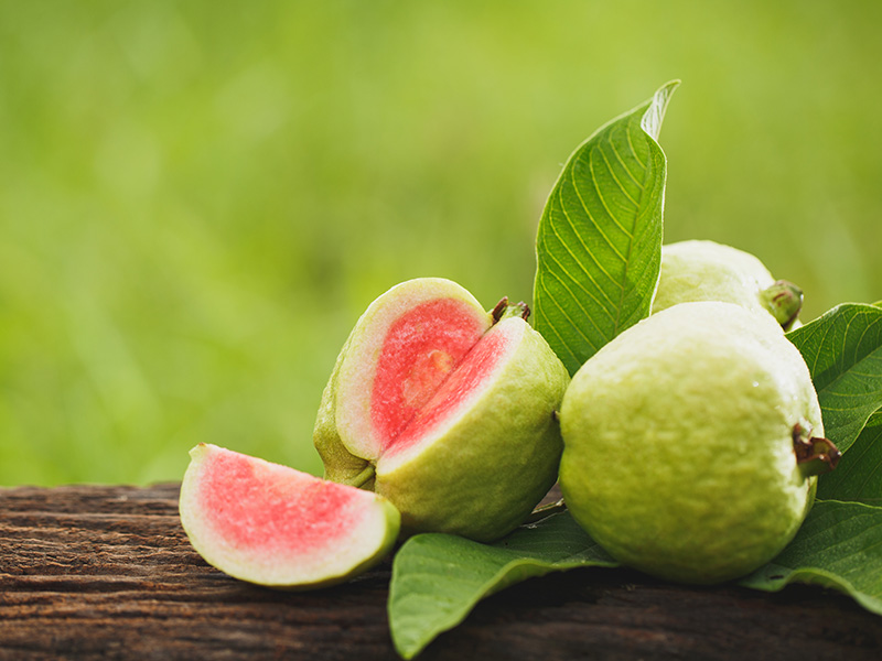 Farang Guava Thai