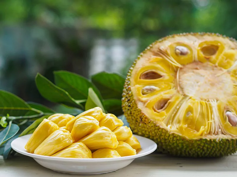 Jackfruit Mit