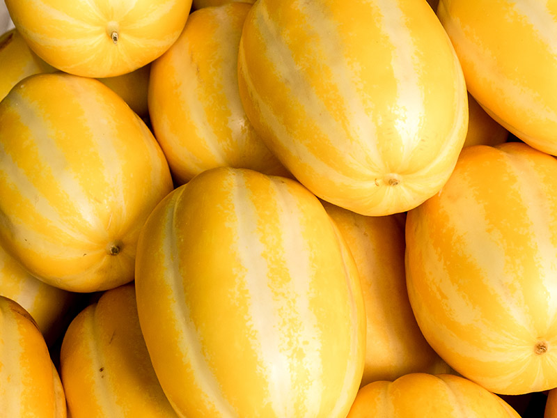 Korean Melon Chamoe