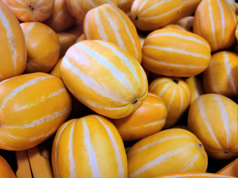 Korean Melons Summer