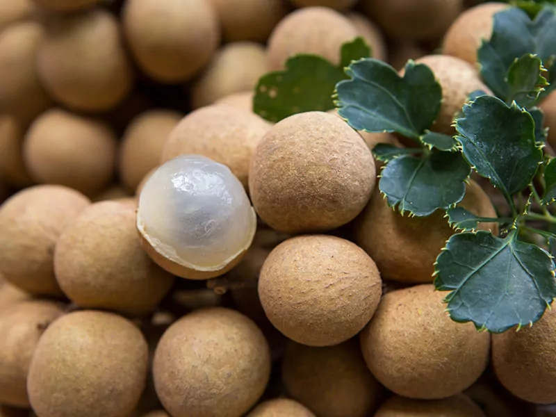 Longan Nhan Viet