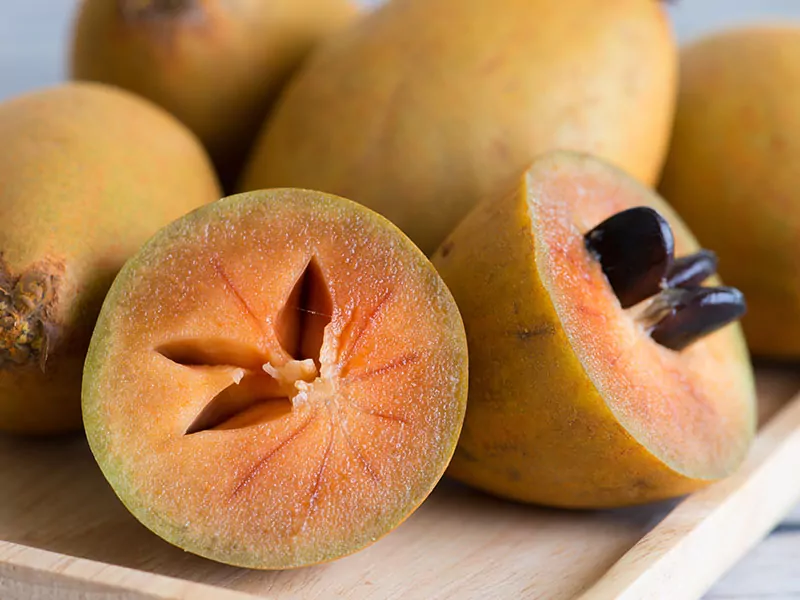 Sapodilla Hong Xiem