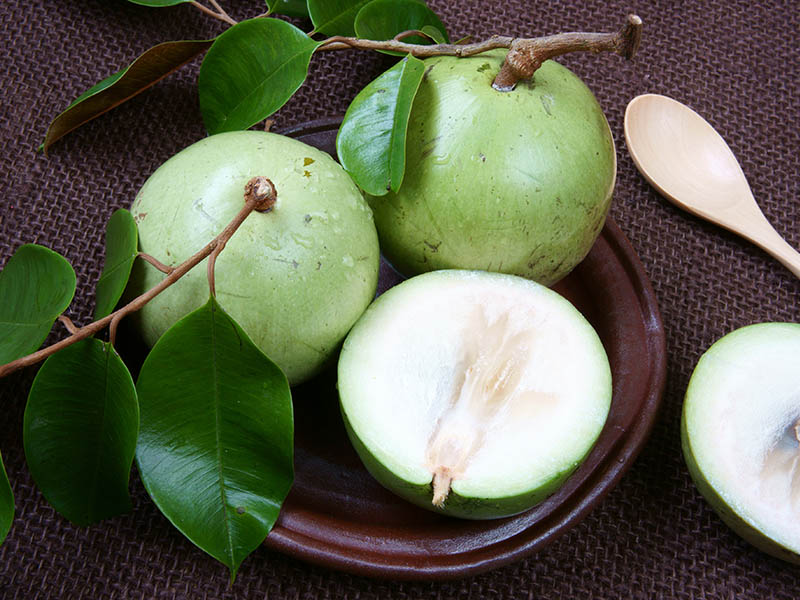 Star Apple Vu Sua