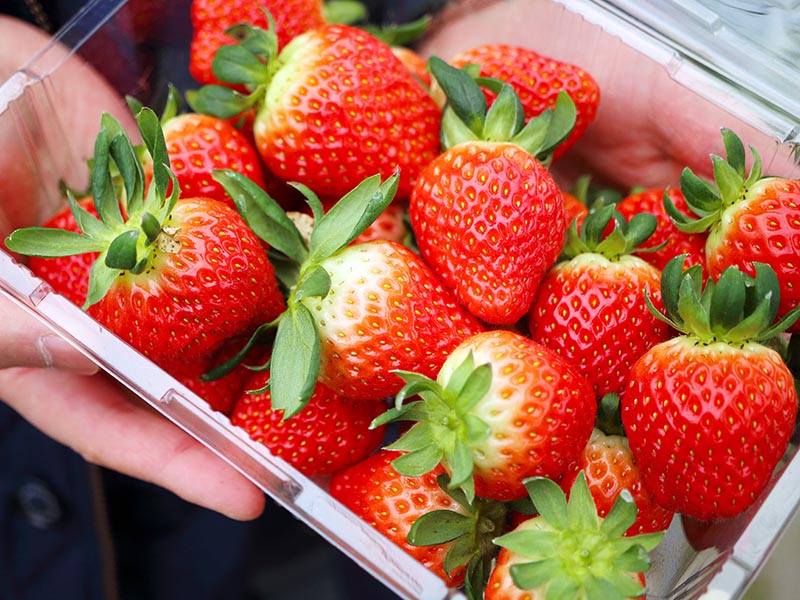 Strawberries Ttalgi