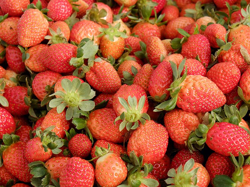 Strawberry Dau Tay