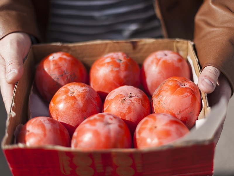 Caqui Persimmons
