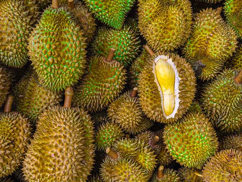 Durian Malay