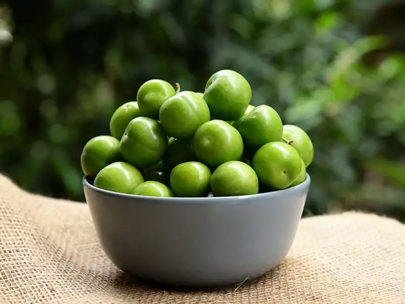 Green Plum