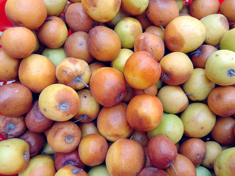 20 Best Pakistani Fruits and Vegetables