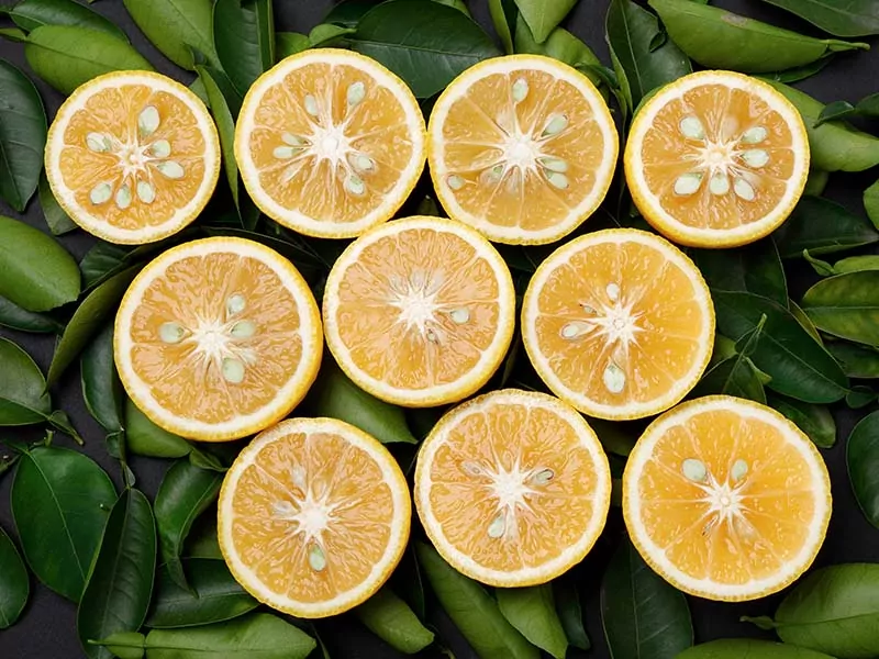 Kabosu Lime