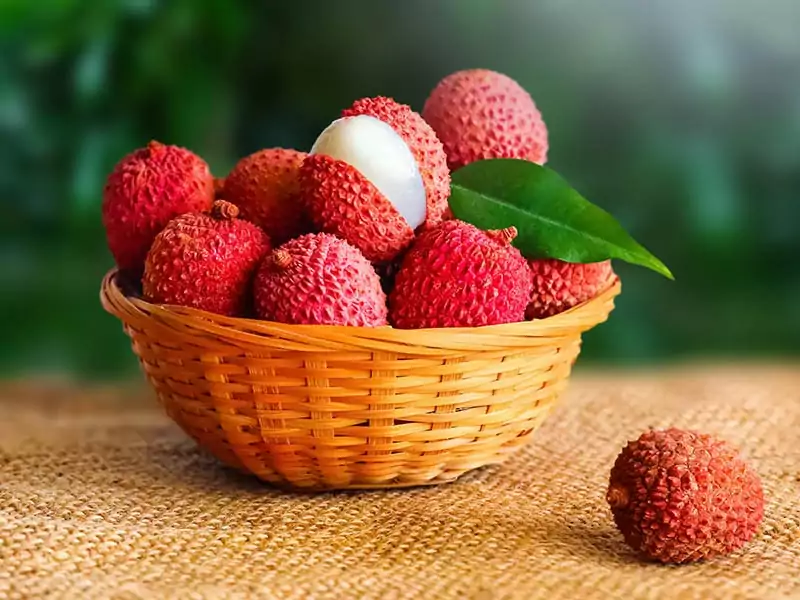Lychee Li Zhi