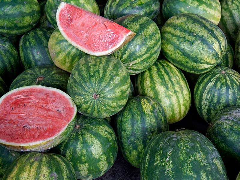 Melancia Watermelons