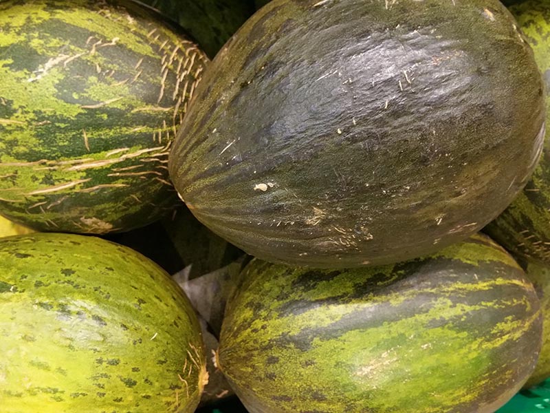 Melao Melons