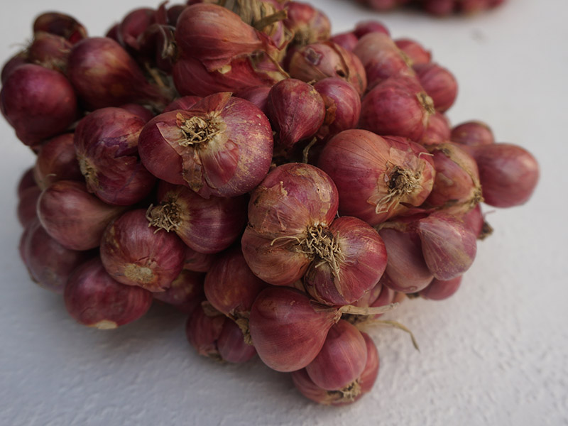 Red Onion Pakistan