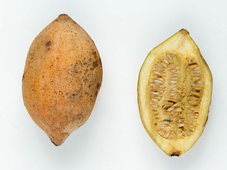 30 Delicious Dominican Fruits For The Fruit Lovers In 2023