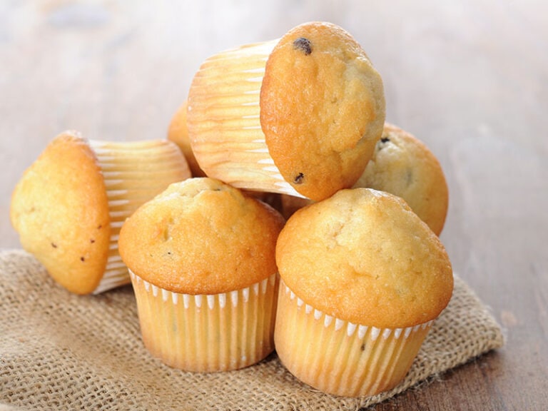 Mini Muffin Recipes