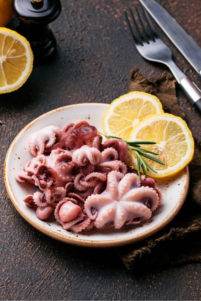 Octopus