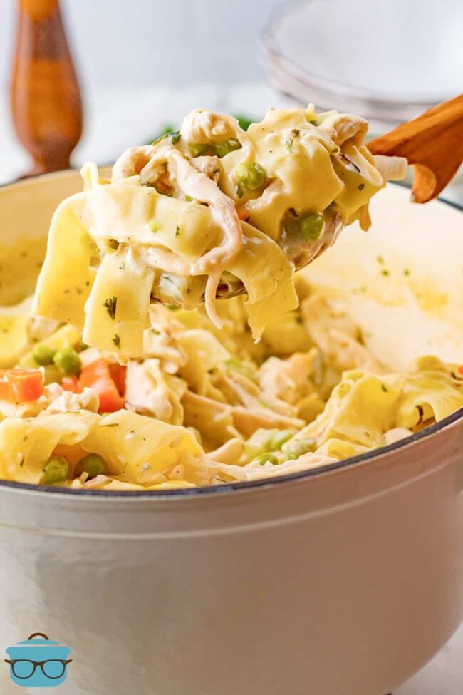 Southern Chicken and Noodles