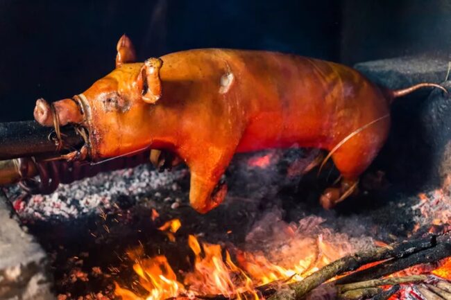 Roasted Cochinillo (Suckling Pig)