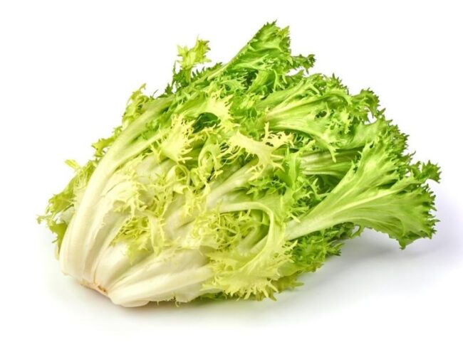 Endive