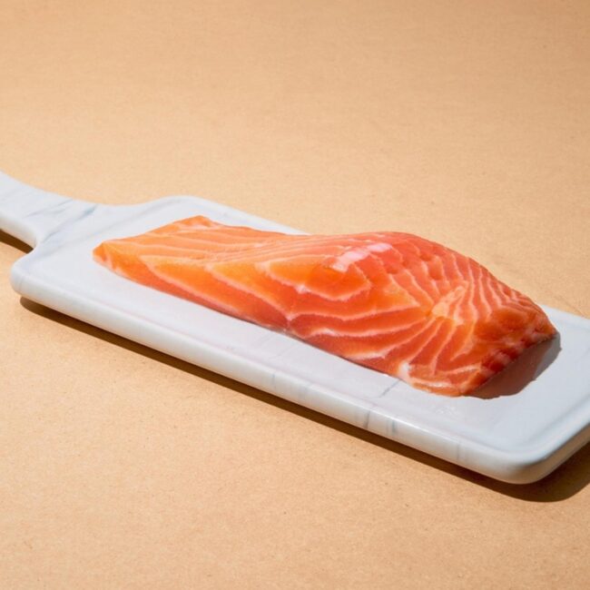 Salmon