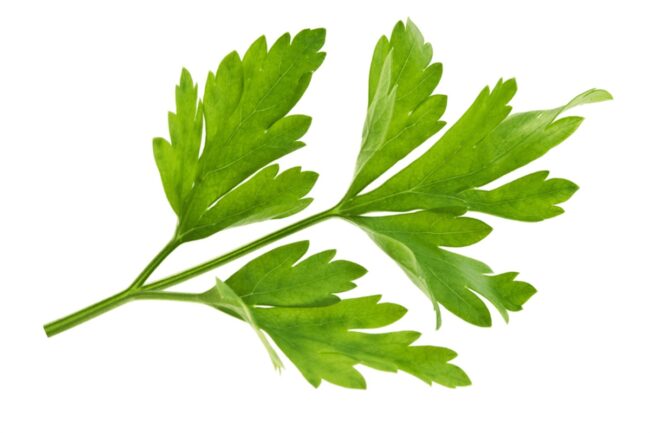 What Parsley Is and How It’s Used