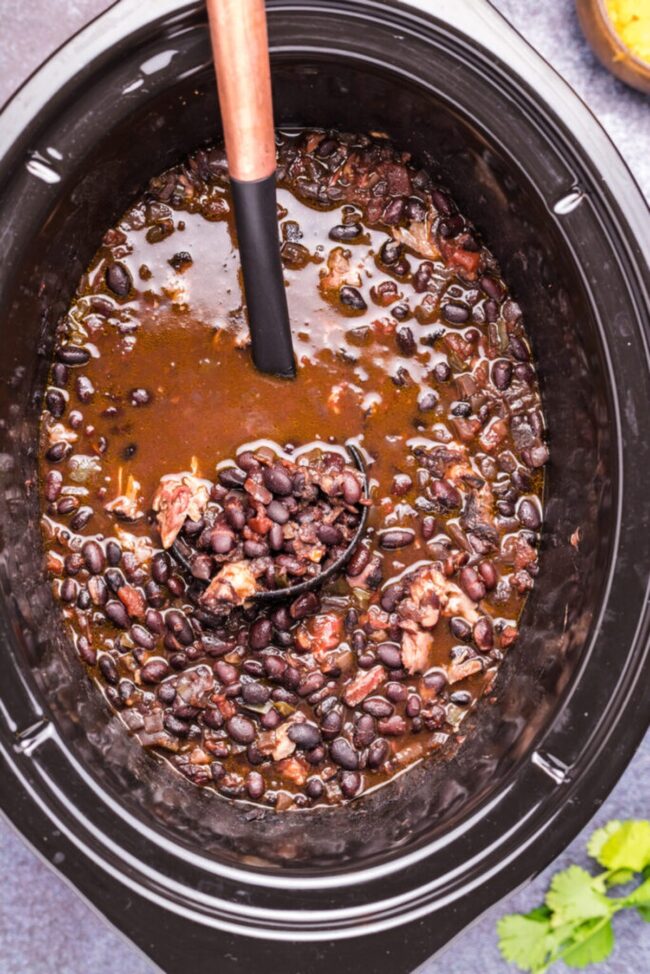 Slow Cooker Black Bean Stew