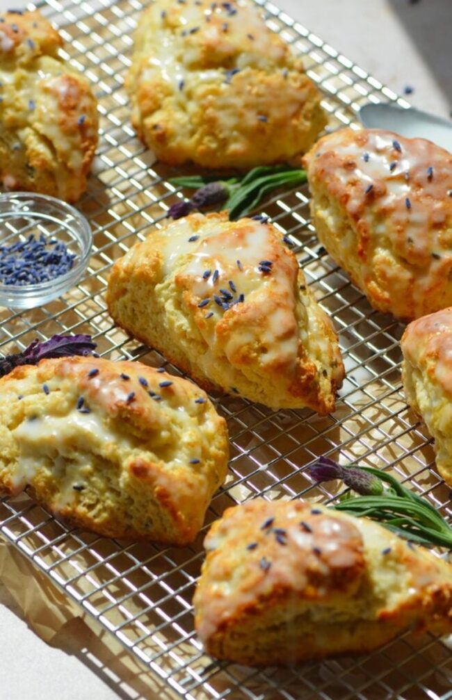Honey Lavender Scones
