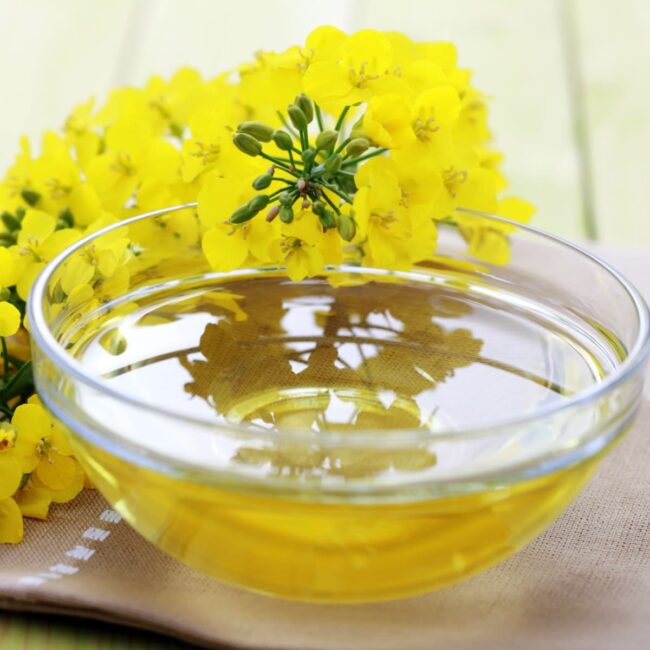 Canola Cooking Oil
