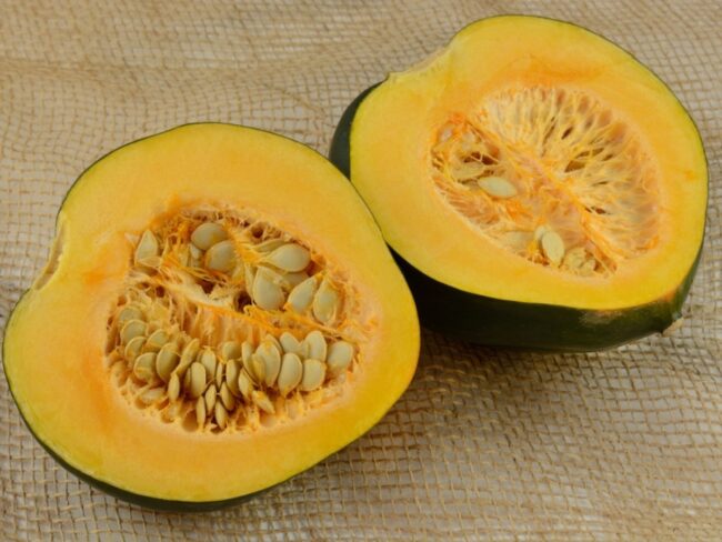 Acorn squash