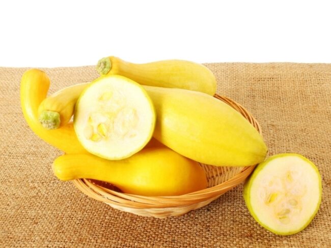 Round Zucchini