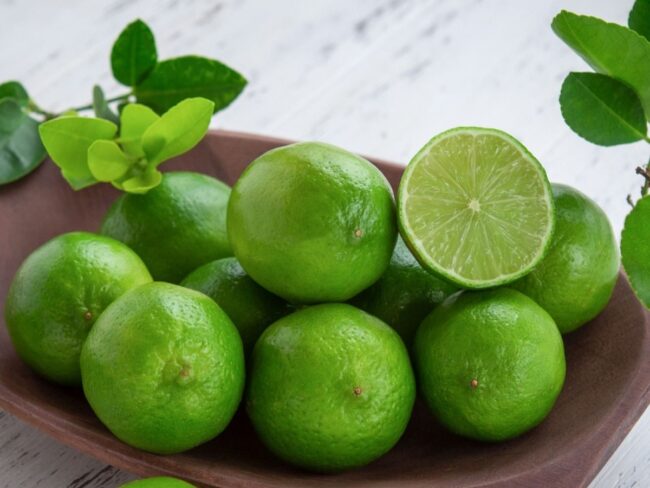 Persian Lime