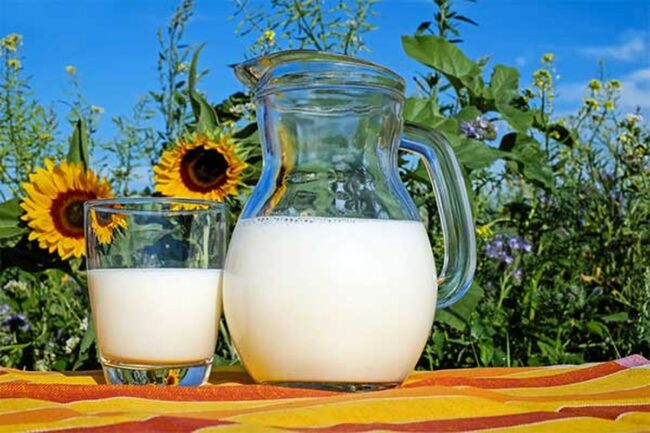 Vanilla Flavored Milk
