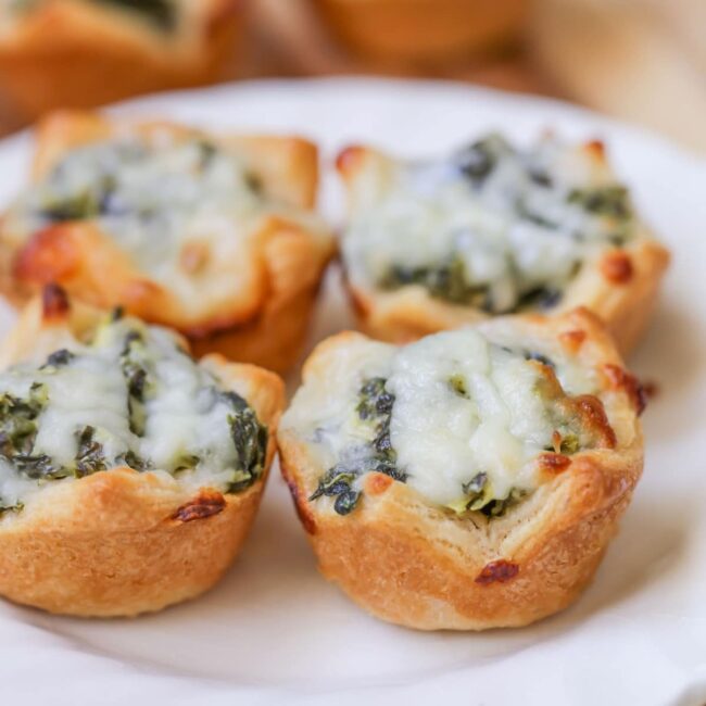 Spinach Artichoke Dip Bites