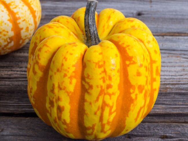 Carnival squash