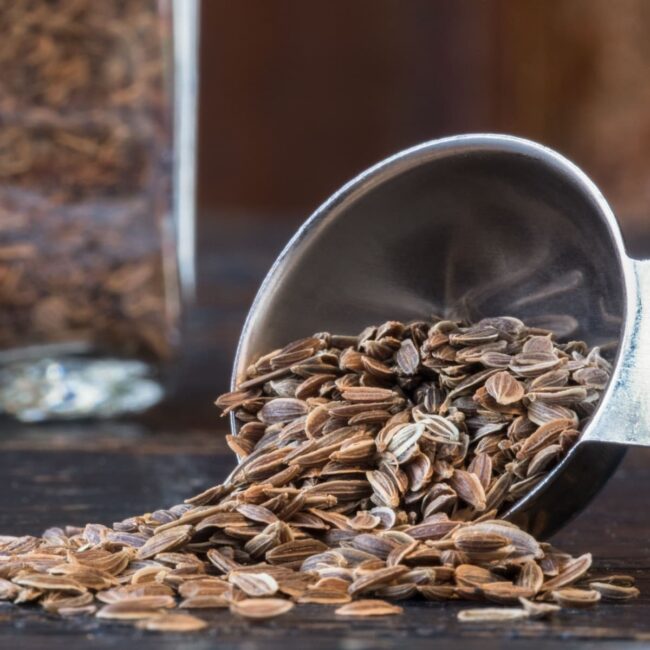 Dill Seeds