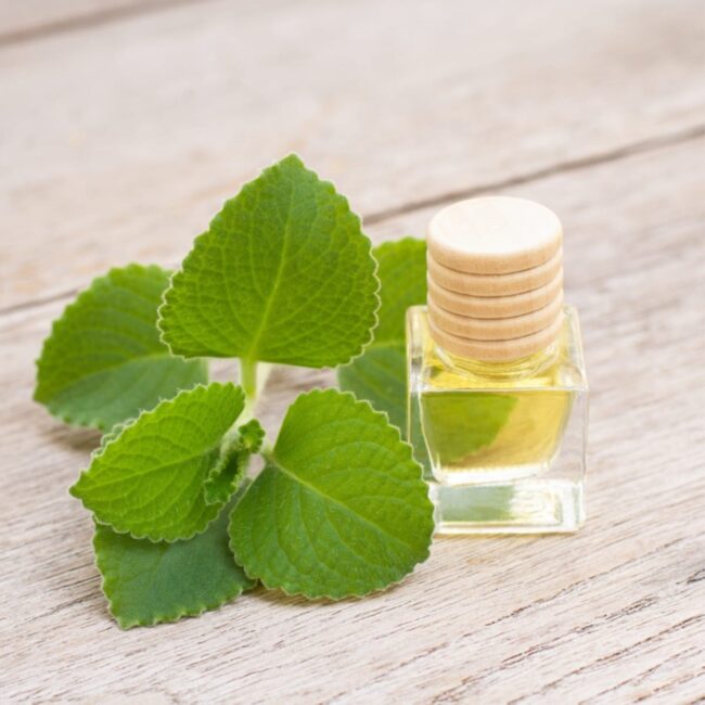 Using Spearmint Extract