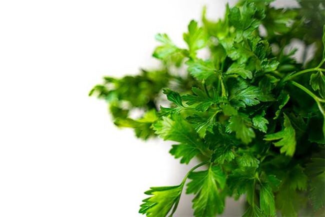 Parsley