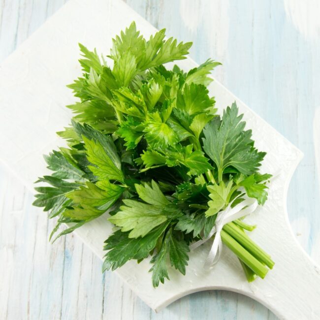 Celery Leaves