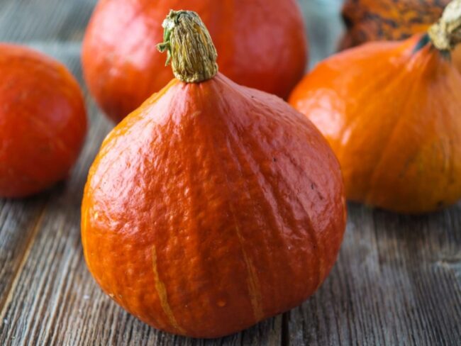 Red Kuri