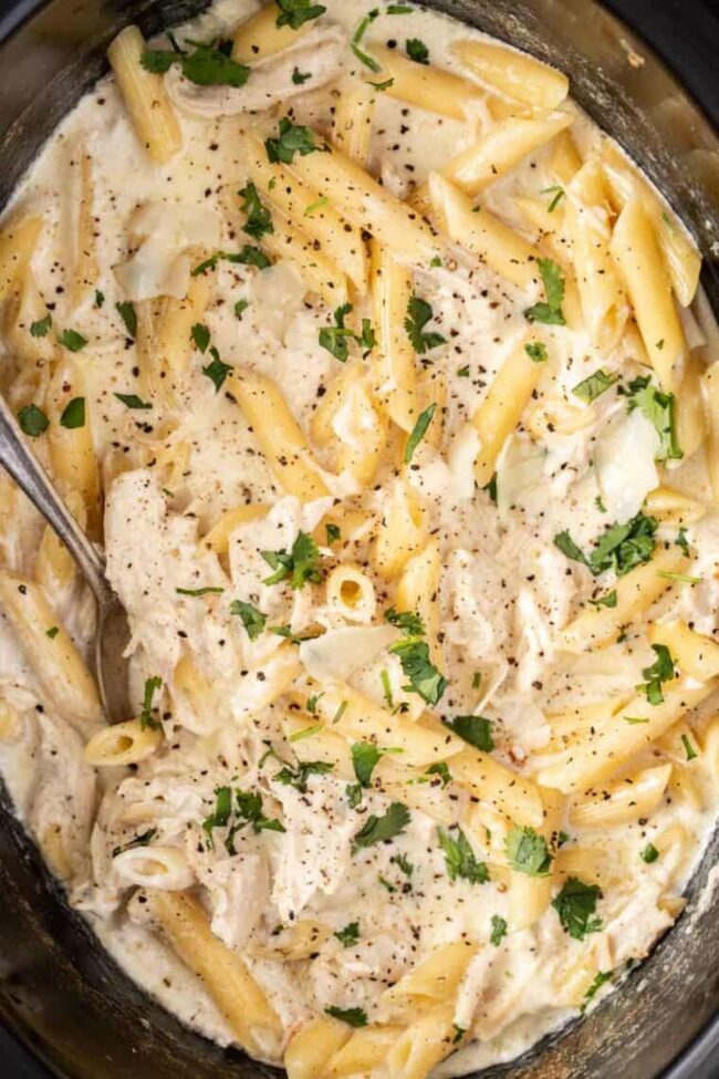 Chicken Alfredo